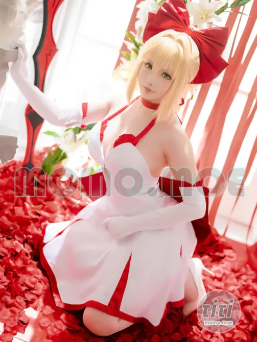 星之迟迟 – NO.155 6月计划A Fate 尼禄 [43P-202MB]