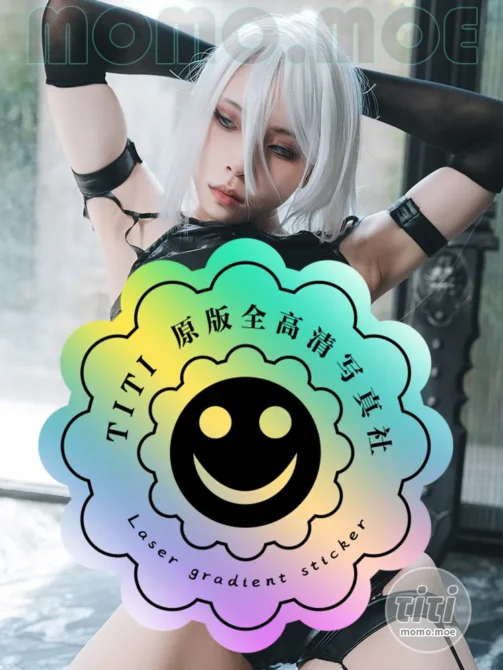 浵卡Tokar – NO.029 A2 [40P+1V-1.17GB]