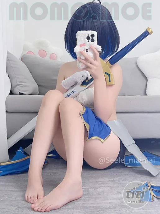 Seele麦麦 – NO.010 崩坏学园2 saber希儿 [41P-142MB]