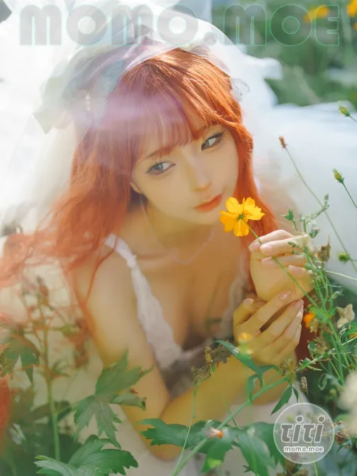 蠢沫沫 – NO.357 花丛婚纱 [67P-517M]