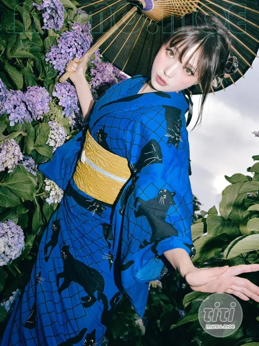 ElyEE子 – NO.197 Rainy Season Black Cat [38P+4V-93MB]