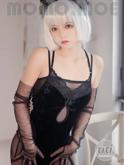 疯猫ss – NO.176 黑丝女仆 [20P-20M]